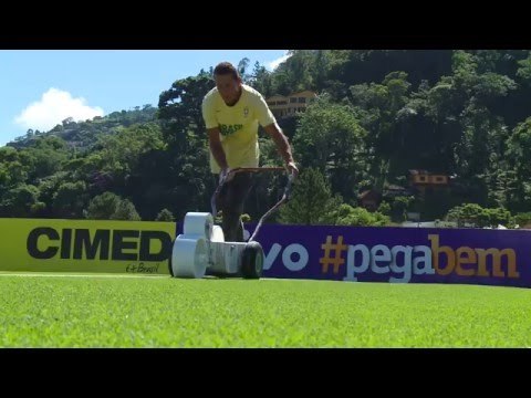Bem-vinda, Seleção! Granja Comary recebe jogadores e comissão técnica