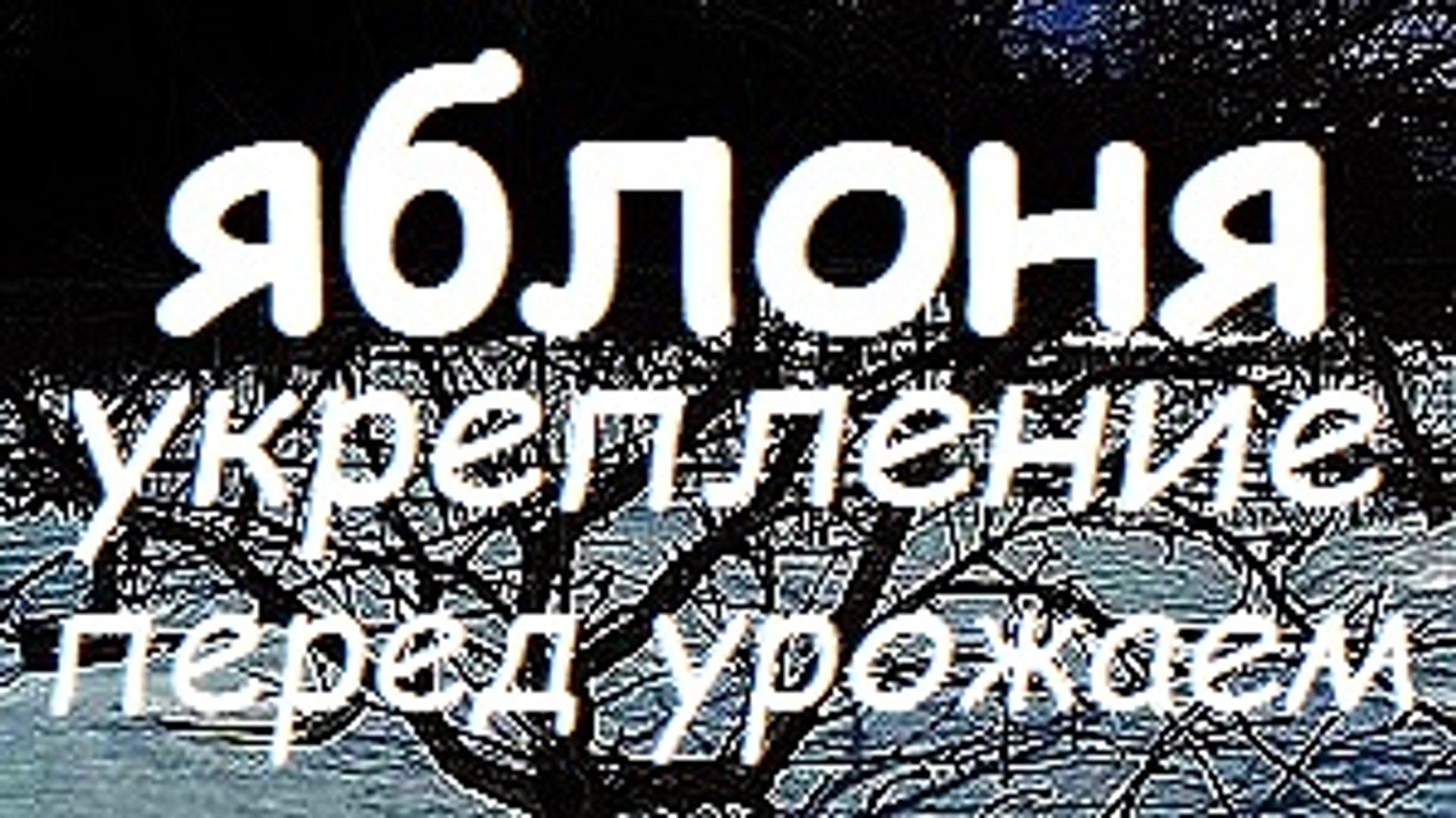 ⁣И Ваша Яблоня ПРОСЛУЖИТ ЕЩЁ 30 лет !!! / СТЯЖКА ДЛЯ ЯБЛОНЬ / Дача / Сад / Яблоня /  Cottage / Garden