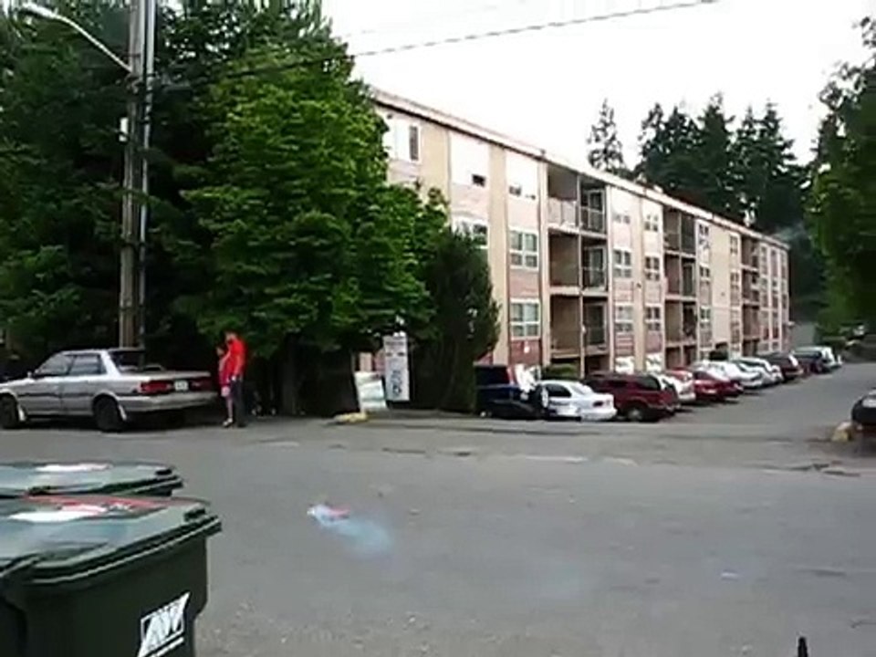 Venom Fireworks 7 Head Bombs