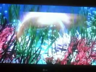 Let`s play Spongebop schwammkopf der Film (part 1)