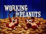 Chip n Dale Donald Duck | Working for Peanuts [HD]  Chip 'n' Dale