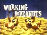Donald Duck and Chip 'N' Dale - Working For Peanuts  Chip 'n' Dale