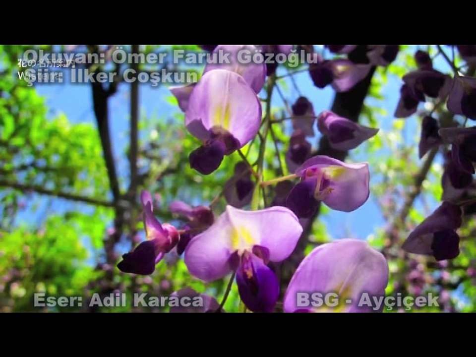 internet dünyasını ve alemini sallayan şiir ve şarkı evlenme teklifi ömer faruk gözoğlu