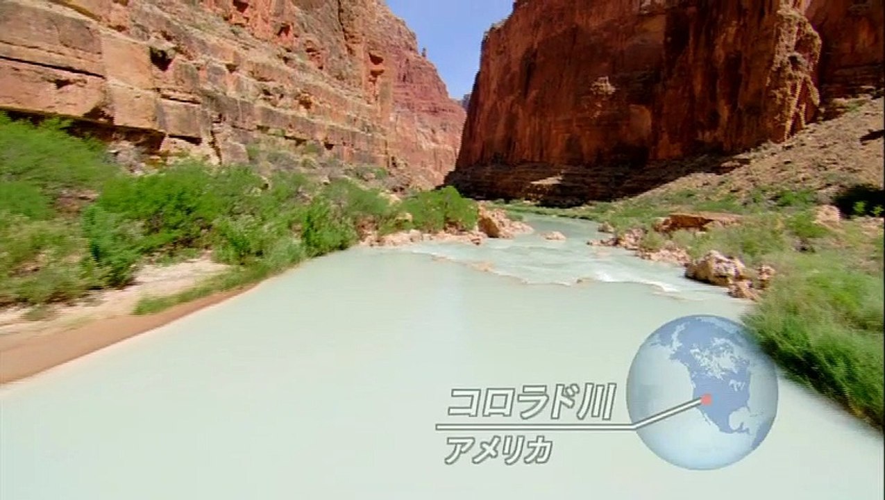 プラネットアース Episode 2「淡水に命あふれる」 - 動画 Dailymotion