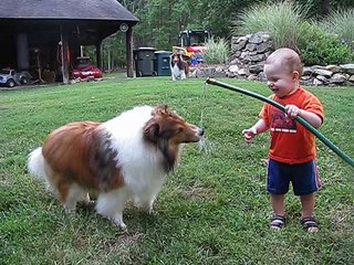 baby and dog play with hose top songs 2016 best songs new songs upcoming songs latest songs sad songs hindi songs bollywood songs punjabi songs movies songs trending songs mujra dance Hot songs