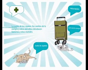 MargaSequence 1-Primera prueba video merial-MPEG-2 a 6,2 Mbps y doble paso.m2v.WMV