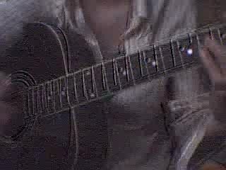 Les canards en plastique