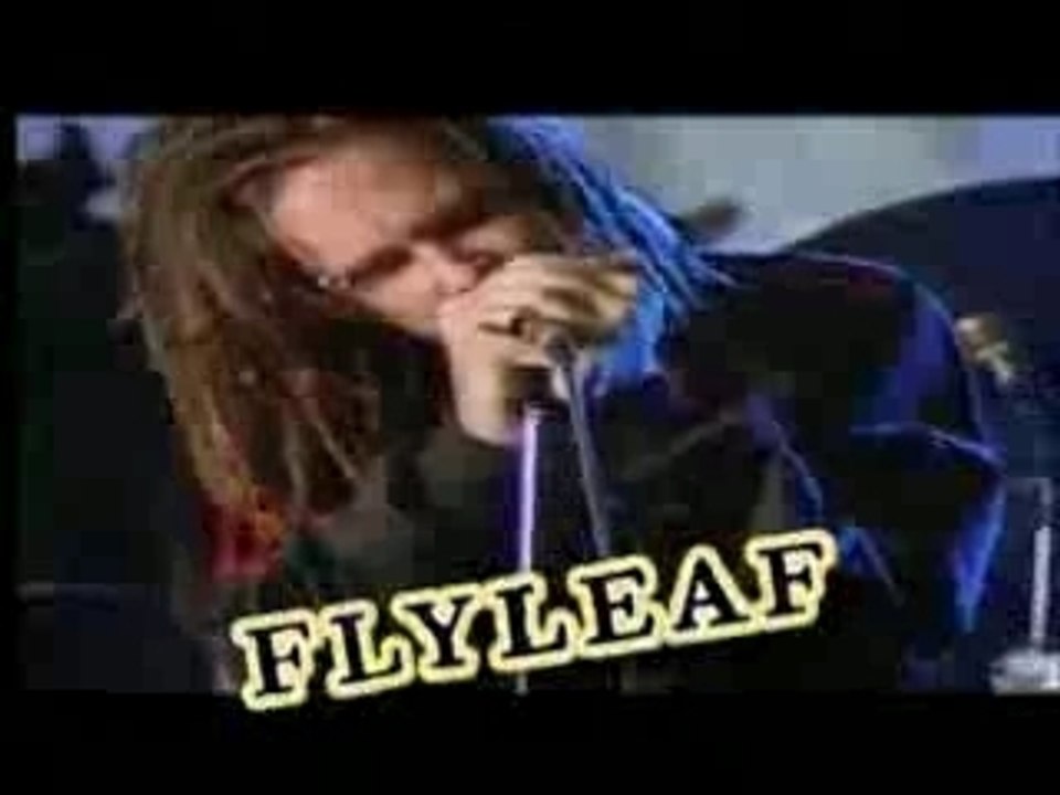 The Family Values Tour 2007 TV Spot