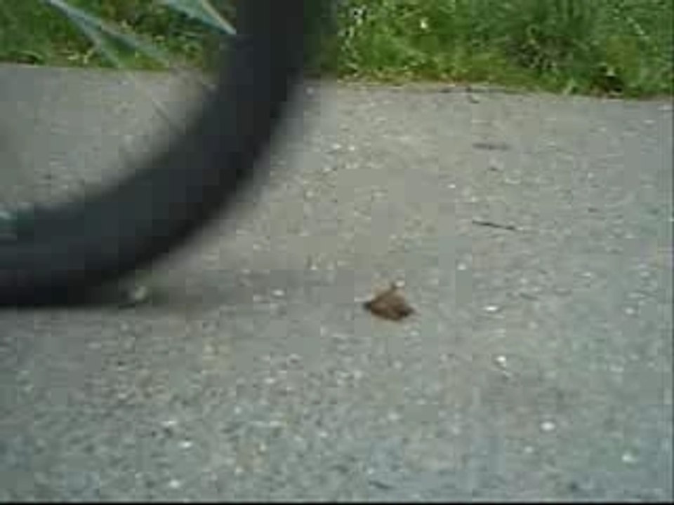 extraits tournage kana-team biking trips