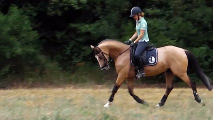 Carlchen Galop dans le champs