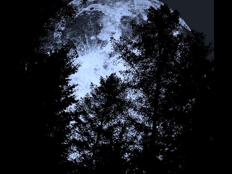 Jennifer Lally and Friends- Howl (Florence and the Machine cover)