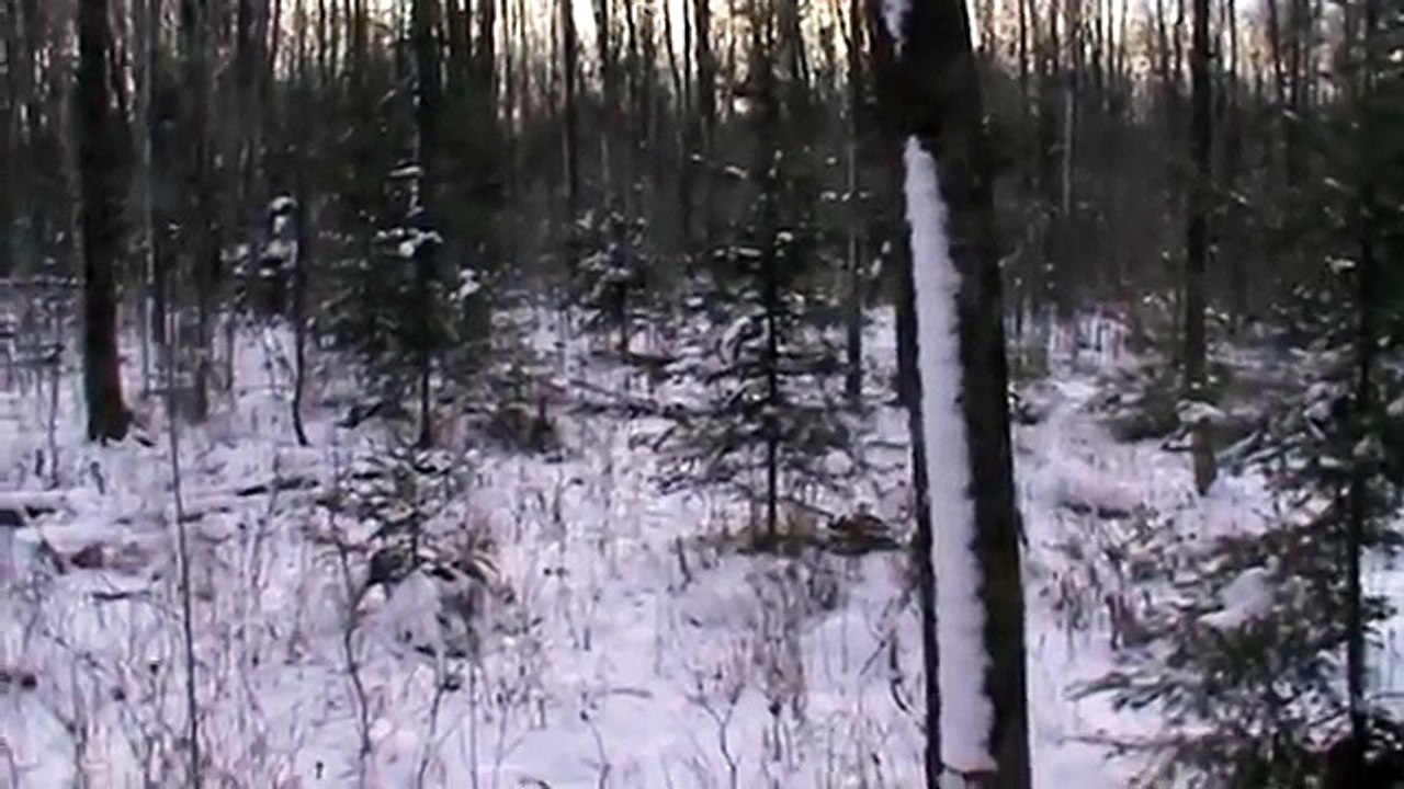 TIMEX AT 10 MONTHS OLD