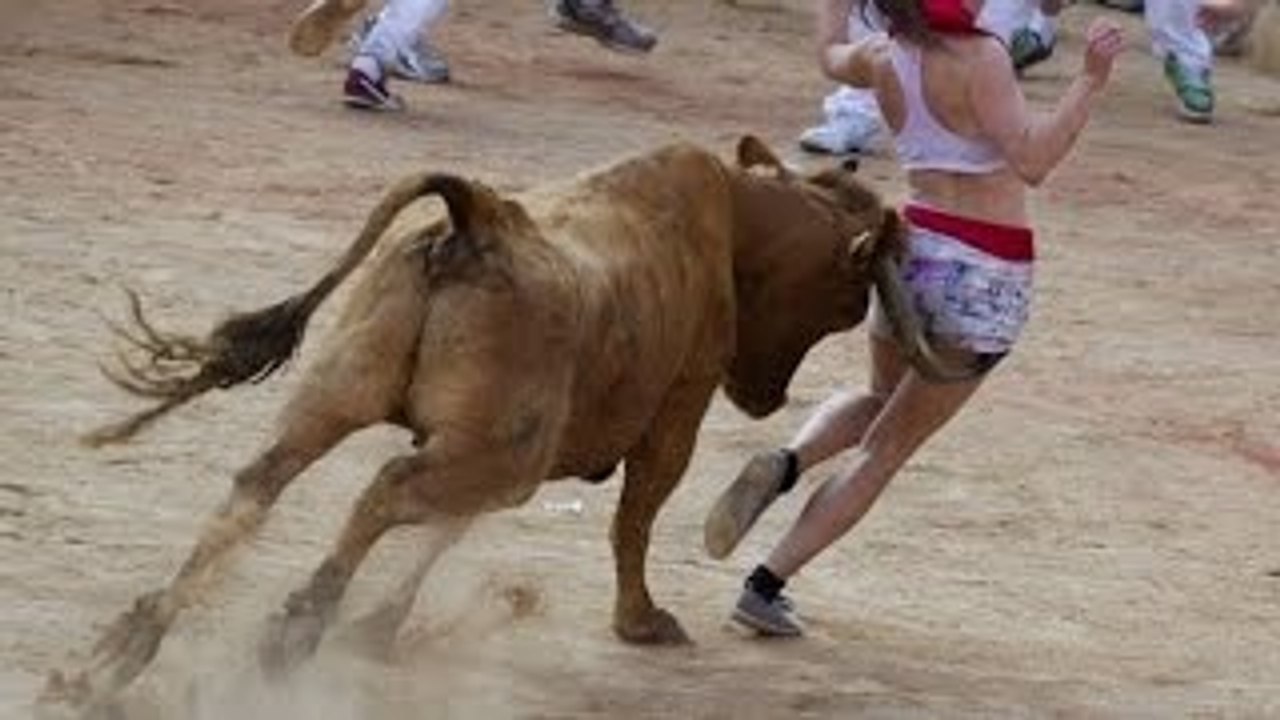 Animals Attacks-Best BULL Attack-Funny Video - Discovery Channel
