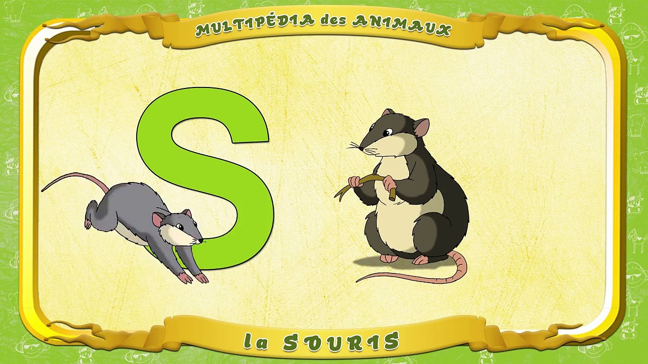 Multipédia des animaux. La lettre S la Souris