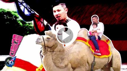 Naik Unta, Gempi Anteng - Cumicam 22 Maret 2016