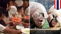 Chinese tourists pig out at all-you-can-eat buffet in Thailand
