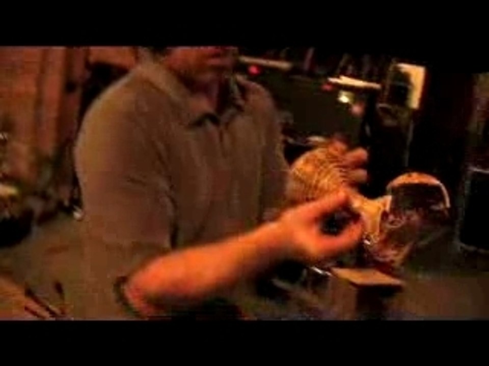 Making of Evolution