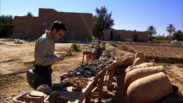 Discovery Dinosaurs l Types of Spinosaurus Dinosaurs l National Geographic Dinosaurs Docum