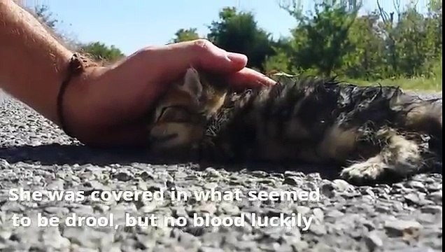 Est-ce que quelqu'un est en train d'éplucher des oignons, ici ?