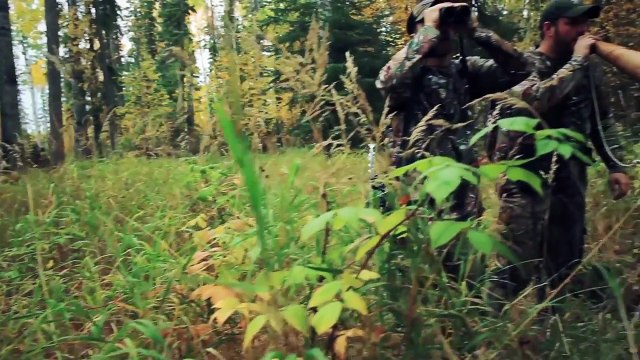 Canada Heartland Bowhunter EP 503