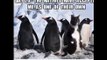 Tap-Dancing Top-Hat Wearing Penguins!! || Disco Zoo || Episode #8
