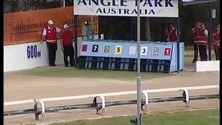 Angle-Park-15022016-Race-5