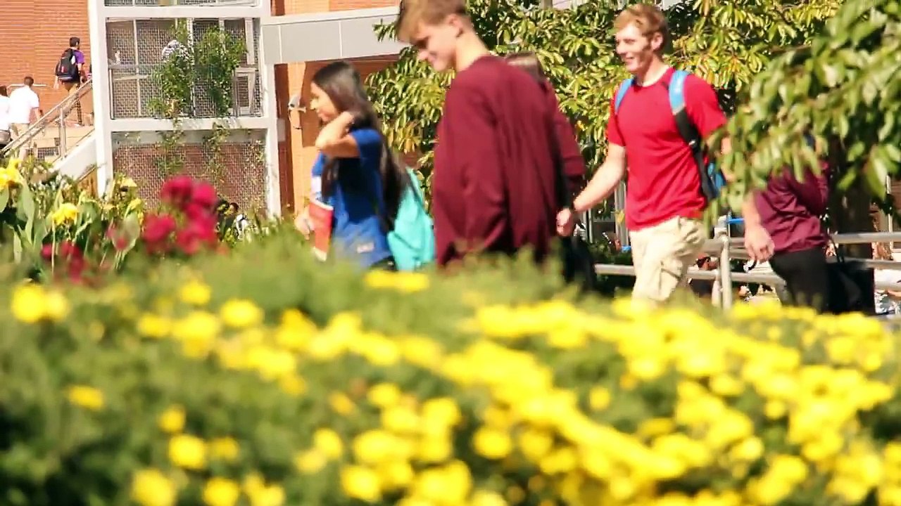 College Activities Fall Fest