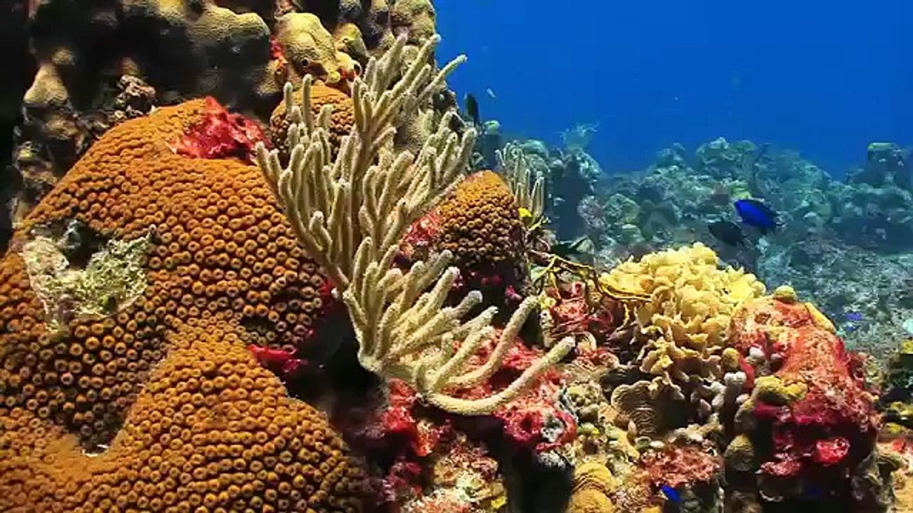 Silversea Cruises - World Cruise 2017