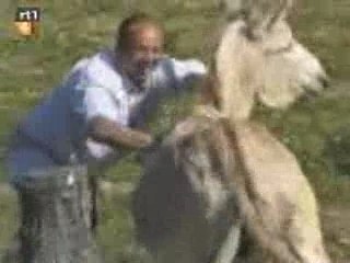 Donkey Wants Farmer's Arse [Funny]