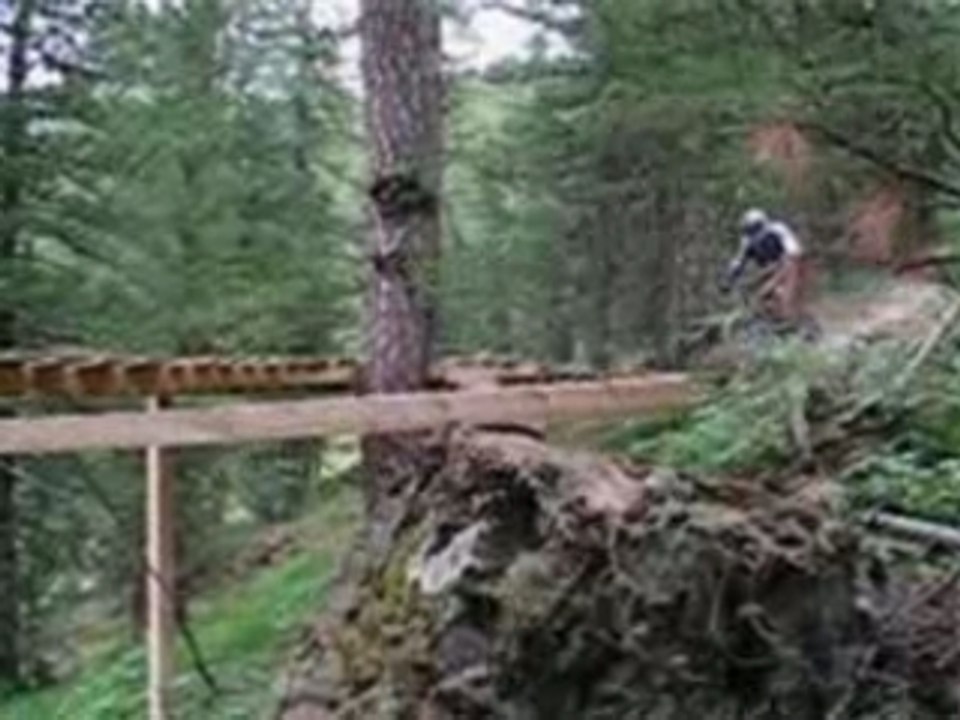 montage de flofly by flofly