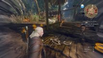 The Witcher 3: Devil By the Well Walkthrough (Witcher Contract)