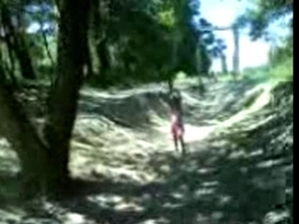 Chute