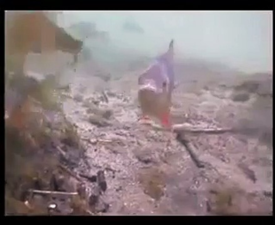 Turna Balığı kocaman balığı kapıyor