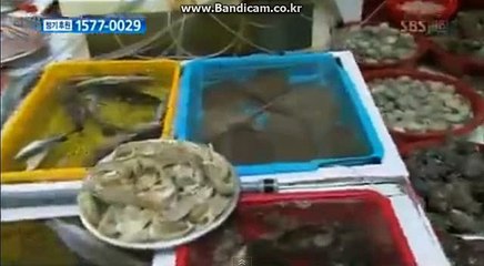 토토 제작 / 토토 사이트 제작 / 사설토토 / 토토 솔루션 올자동 み카톡: haricuty스카이프:haricuty