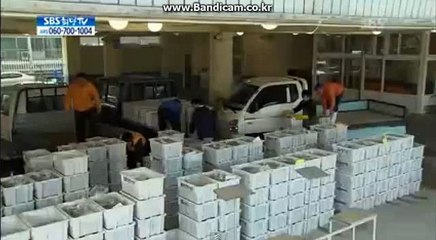 스포츠토토 솔루션 제작해드립니다 올자동 - totobksoft.com 카톡: haricuty스카이프:haricuty