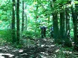 Chateau de la chasse 1