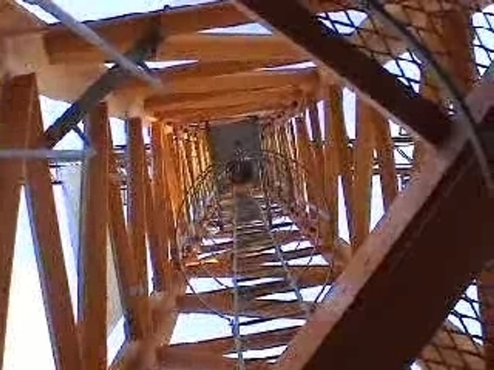 Pas_une_grue_de_pd