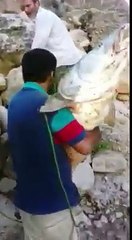 Yakaladığı balığı sevincinden kucağından bırakmıyo bile