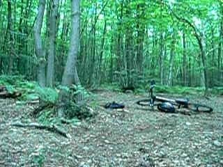 chateau de la chasse 3