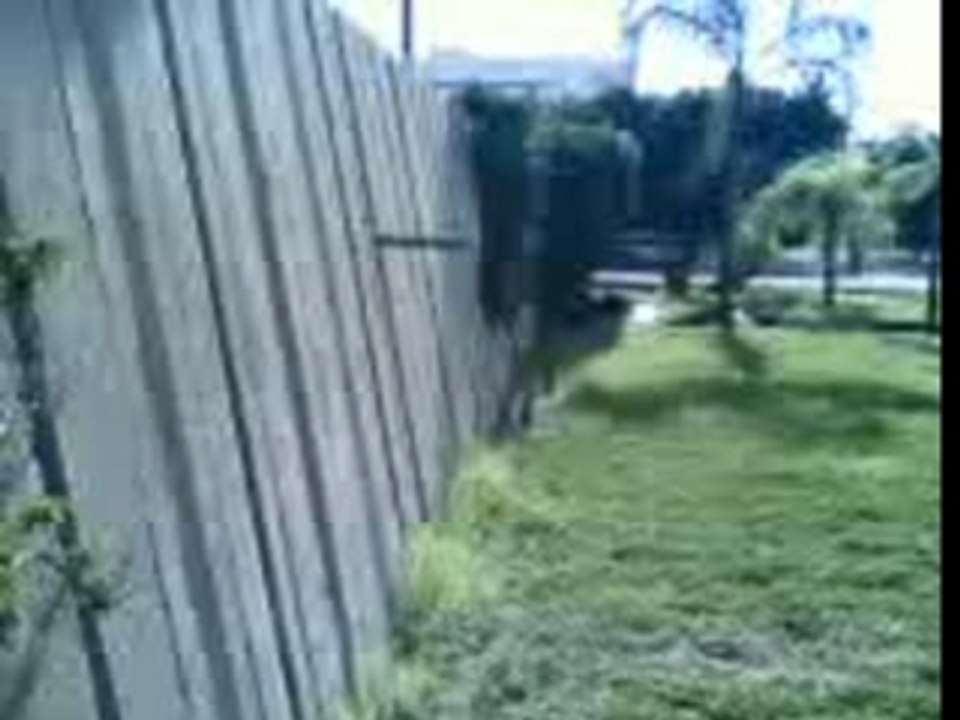 Wallflips (fahd et moi pieds join)