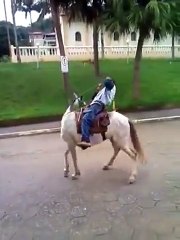 Se beberes não montes a cavalo