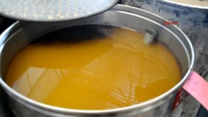 Aydın Tariş, Zeytinyağı Alımlarını Tamamladı