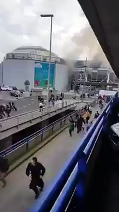 brussels video