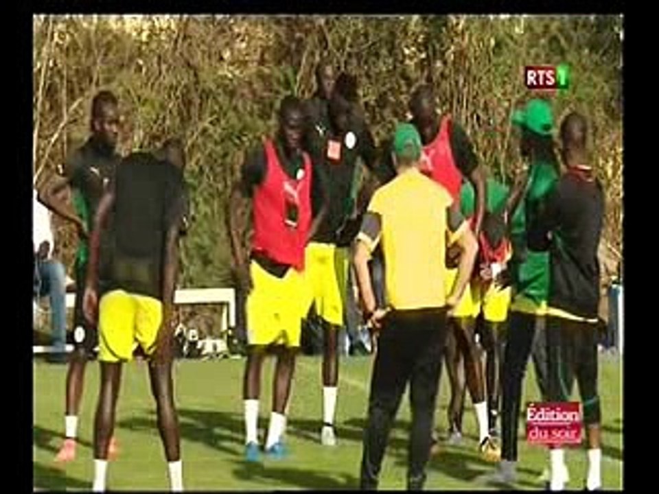 premiere seance des lion