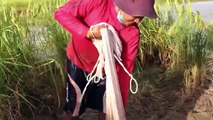Beautiful Countryside in Cambodia - Cast Net Fishing by Khmer Young man