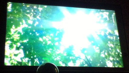 ダイヤモンドハッピー　オフ