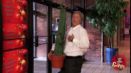 BOOM! CACTUS IN THE FACE