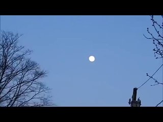 Anti- New World Order Music 11 11 (World Music 720p)