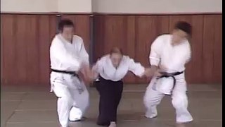 Энциклопедия Айкидо Ёшинкан. Yoshinkan Aikido DVD 1 1