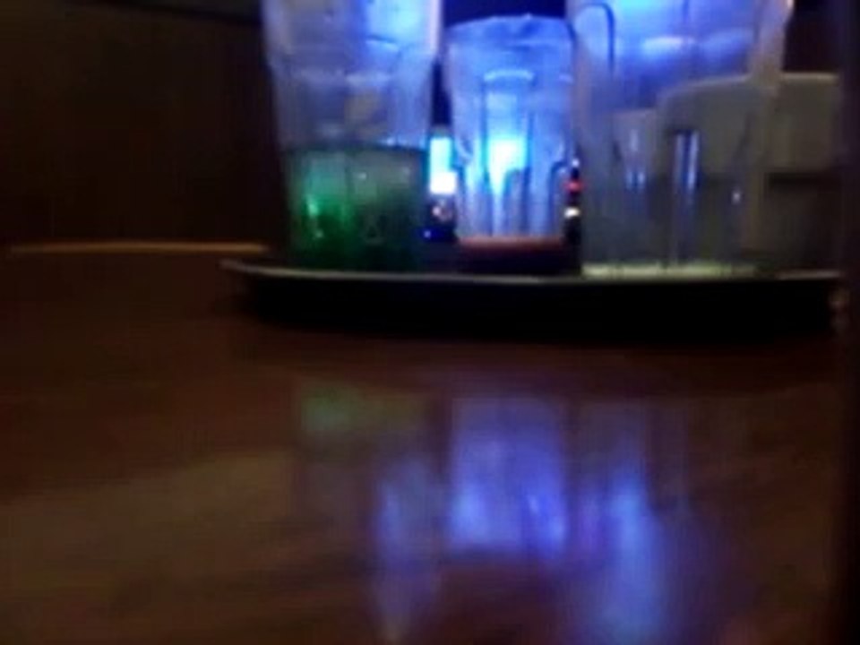 蝶☆Яοβιη★